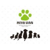 Miya Wan