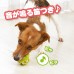 寵物玩具 立方體動物 青蛙