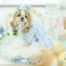 CanNana 愛麗絲條紋襯衫 (2015最新款式）