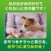 獅王PETKISS 潔齒布 (蘋果味）
