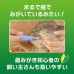 獅王PETKISS 指套牙刷 (Compact)