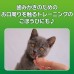 獅王PETKISS 貓用潔齒魚乾