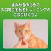 獅王PETKISS 貓用潔齒雞柳條