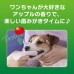 獅王PETKISS 指套型潔齒布 (蘋果味）