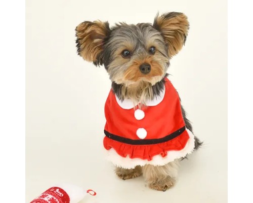 寵物圍巾 聖誕老人 