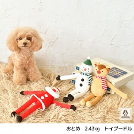 寵物玩具 聖誕老人 寵物玩具 聖誕老人