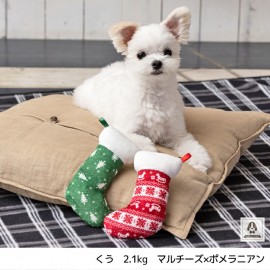寵物玩具 聖誕襪