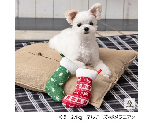 寵物玩具 聖誕襪