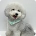 2023 SUO for dogs 28°ICE 寵物用冷感頸圈 (附鈕扣) MB SIZE 黑色