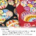 新登場 寵物和服 女裝和服FUTB 可印名