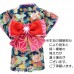 新登場 寵物和服 女裝和服MIST  可印名