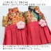 新登場 寵物和服 女裝和服YUTK 可印名