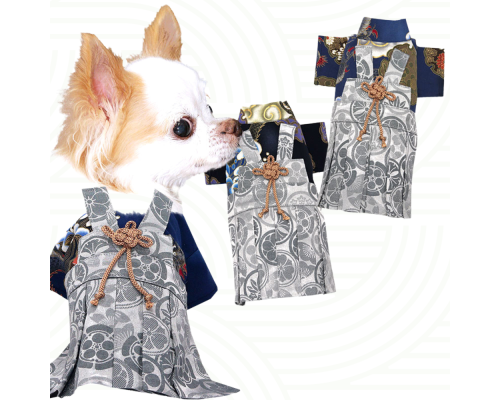 新登場 寵物和服 男裝武士服 DACH 可印名 