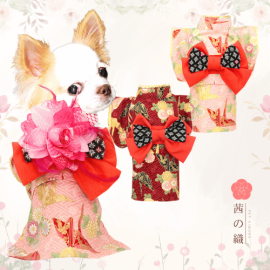 新登場 茜の織 寵物和服 女裝和服 (YACHI) 可印名 