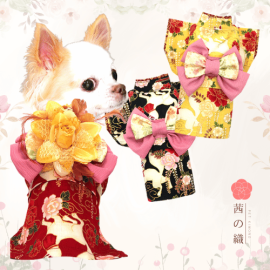 新登場 茜の織 寵物和服 女裝和服 (SHITA) 可印名 