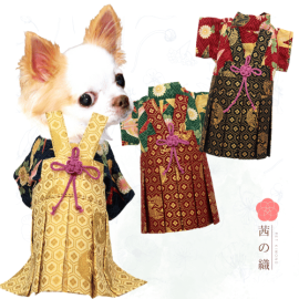 新登場 茜の織 寵物和服 男裝武士服 (ZUII)  可印名 
