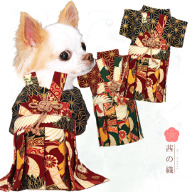 新登場 茜の織 寵物和服 男裝武士服 (MAGE)  可印名 