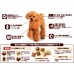 Unicharm Best Balance 香脆口味狗糧 貴婦犬用 1.8kg裝 10歲以上高齡犬糧