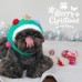 寵物聖誕帽
